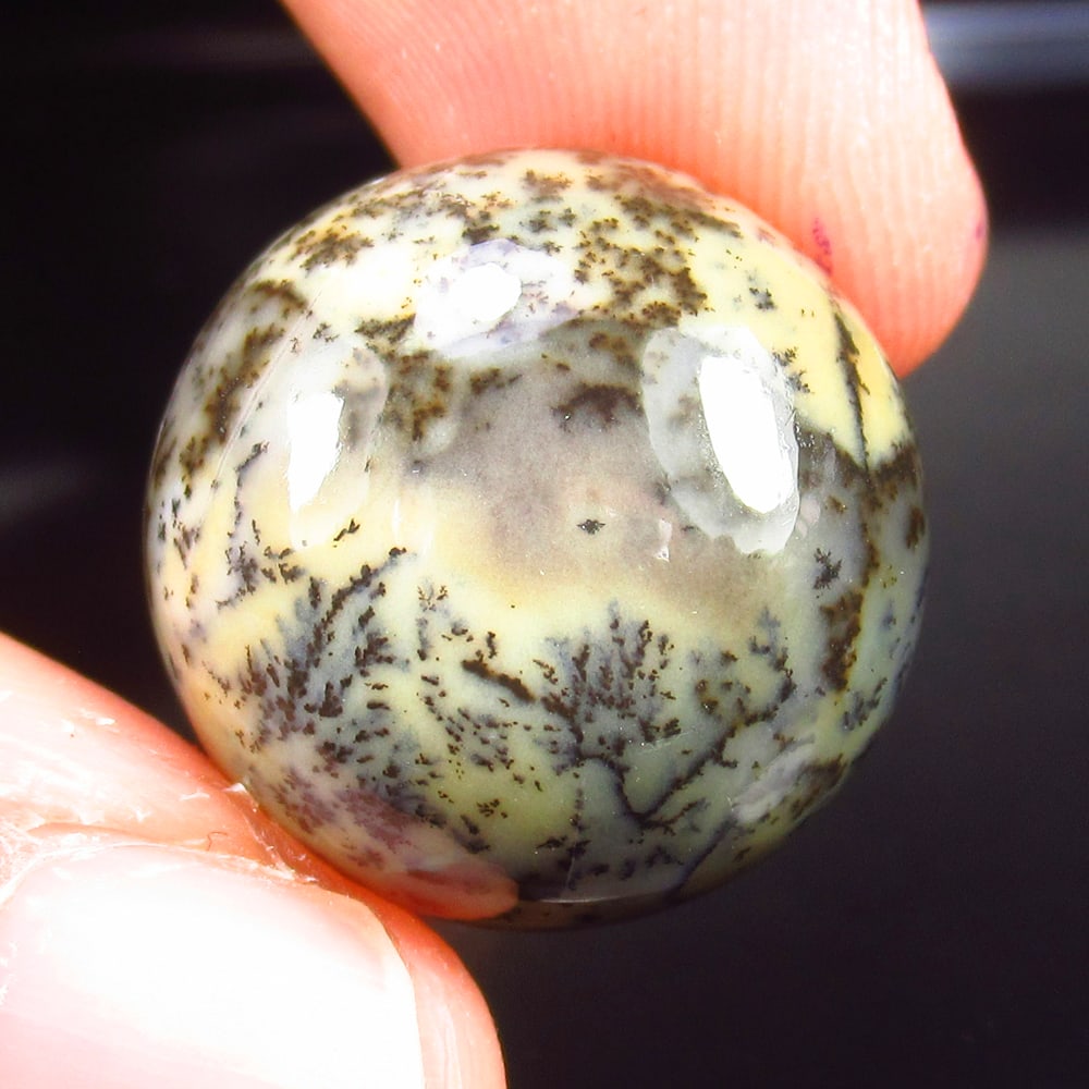 25.19 Cts Natural Dendrite Opal (1 of 2)