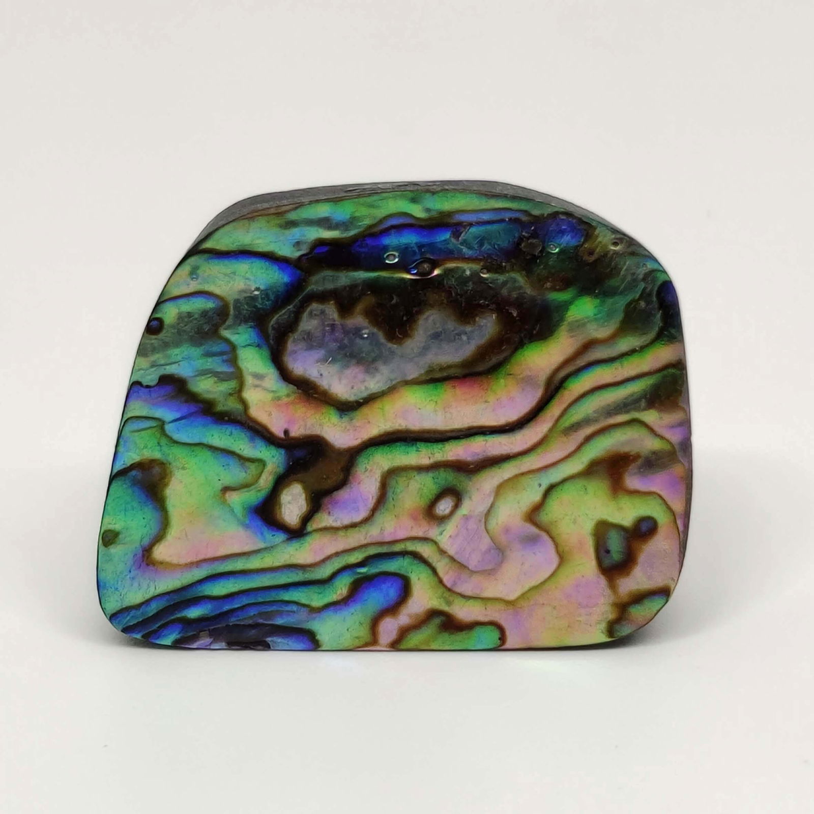 44.35 ct Natural Australian Abalone Shell (1 of 2)