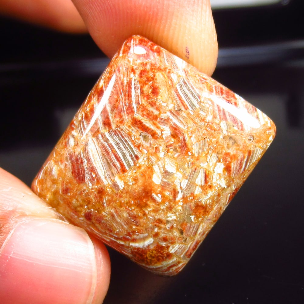 26.90 Ct - Natural Zebronite Jasper: No Reserve! Title: 26.90 Ct - Natural Zebronite Jasper Description: Gemstone Gemstones: Jasper Carat Weights: 26.9 Size/Dimensions:22.0 x 20.0 x 5.1 mm Additional Info:Pieces : 1 No's / Shape : Cushio