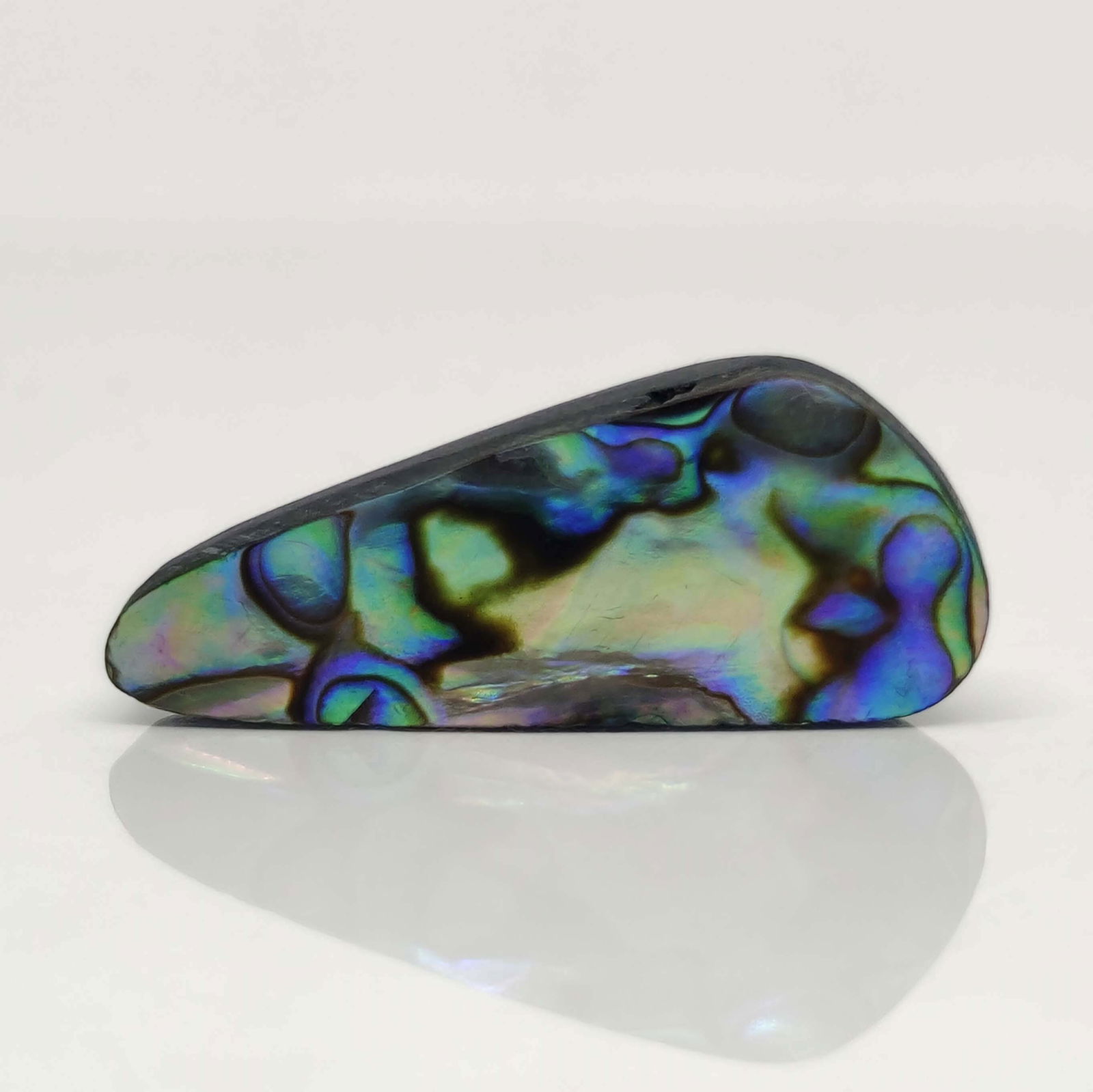 17.30 ct Natural Australian Abalone Shell (1 of 2)