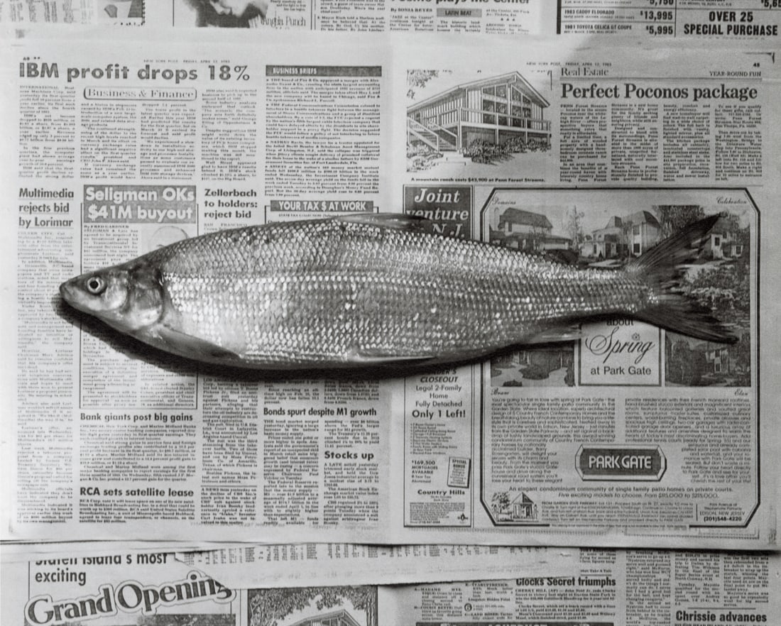 ROBERT MAPPLETHORPE - Fish, 1985 (1 of 1)
