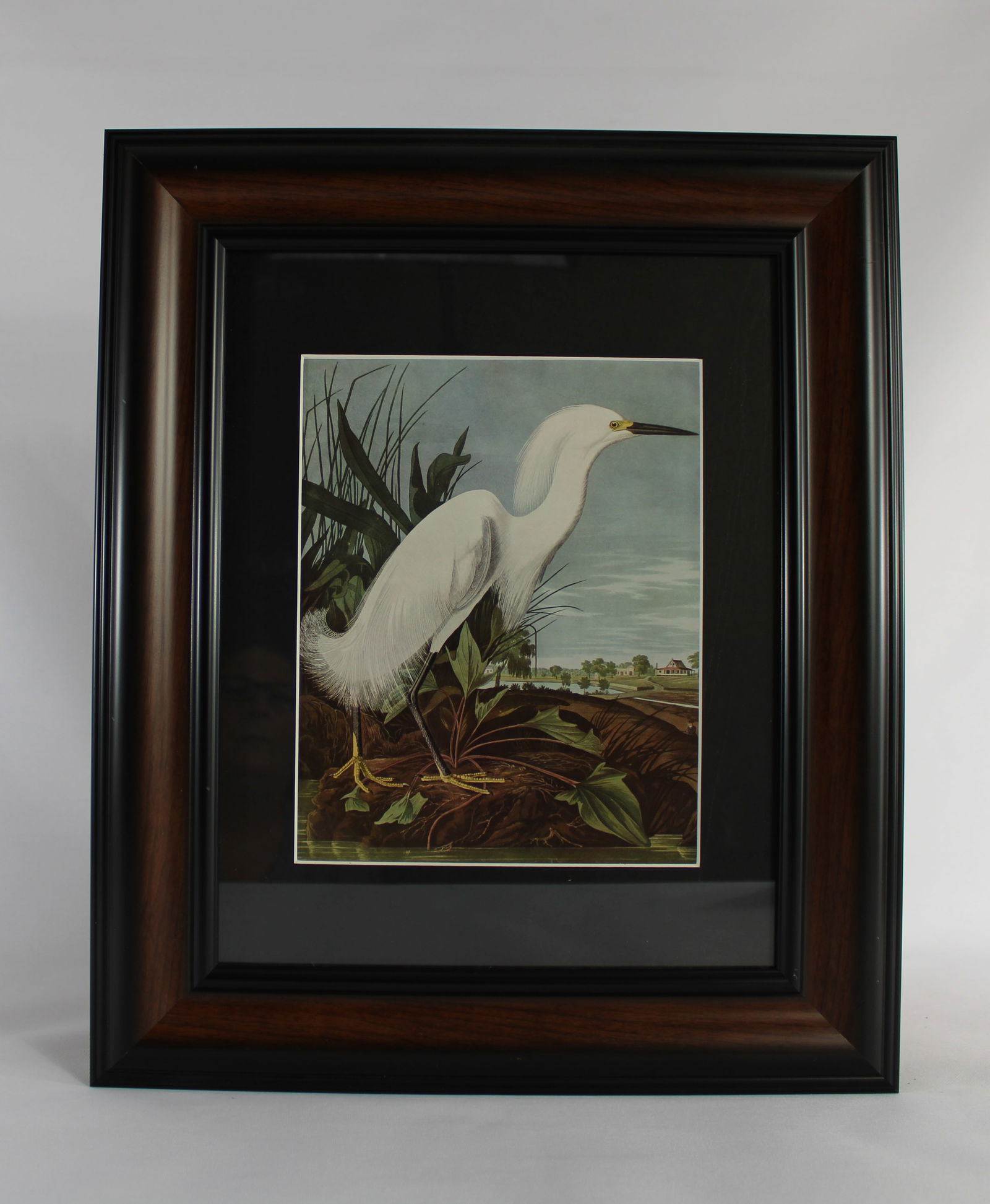 Set of Audubon Lithographs - "Snowy Heron or White Egret" by John James Audubon with informational: Based upon Plate CXXIii Snowy Heron or white Egret from Birds of America. This artwork is a reproduction of John James Audubon's original artwork from Birds of America which was engraved by Robert Hav