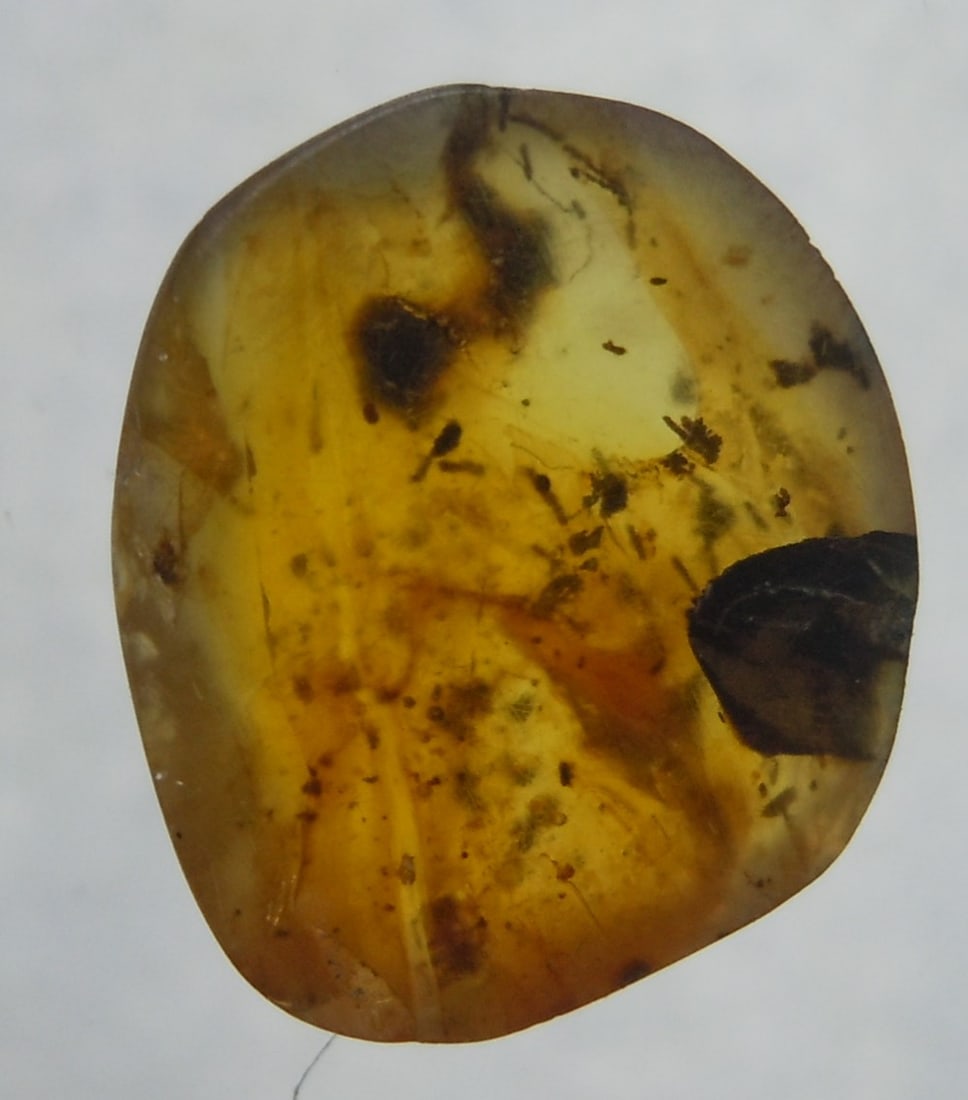 100 Mill. Years Old Burmite Amber With Inclusions: Title: 100 Mill. Years Old Burmite Amber With Inclusions Origin: Hukawang Valley, Kachin State, Myanmar Size: 1.3x1.15x0.35 cm / 0.32 gram Description: clear yellow burmite amber with inclusions Reser