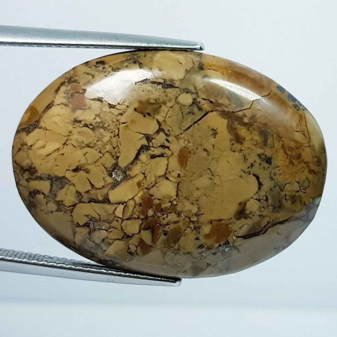 30.04 ctz" Fine Collection" Natural Thunder Agate: No Reserve! Title: 30.04 ctz" Fine Collection" Natural Thunder Agate Color/Clarity: Agate Gemstone: Brown / Opaque Carat Weight: 30.04 Dimensions: 30.23 x 21.97 x 5.19 Additional Information: Oval / B