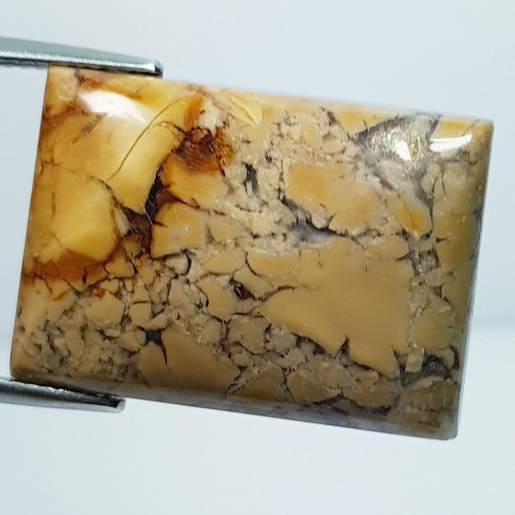 31.35 ctz" Fine Collection" Natural Thunder Agate: No Reserve! Title: 31.35 ctz" Fine Collection" Natural Thunder Agate Color/Clarity: Agate Gemstone: Brown / Opaque Carat Weight: 31.35 Dimensions: 25.09 x 17.84 x 6.82 Additional Information: Octagon 