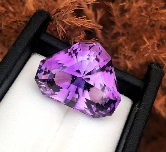 Fine Loose Gemstones Auction 20240109 Auction 483 Price Results Jasper52 in NY