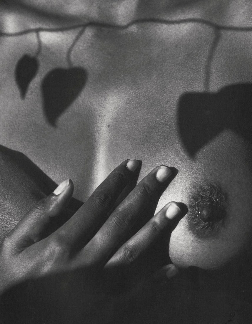 KURT MARKUS - Breasts with Leaf Shadows: Artist: KURT MARKUS Print Title: Breasts with Leaf Shadows Printing Date: 1990’s Medium: Photo-lithograph Printed in: Japan Image Size: approx. 9 x 7” Additional Information: COA included.