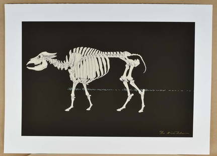 Original HIDEO TAKEDA print ALTAMIRA WATER BUFFALO signed numbered: Original silkscreen print “WATER BUFFALO” by Hideo Takeda (born 1948) from the Altamera series - one of a set of 10 prints each depicting an animal skeleton. Printed in 1994, signed by the