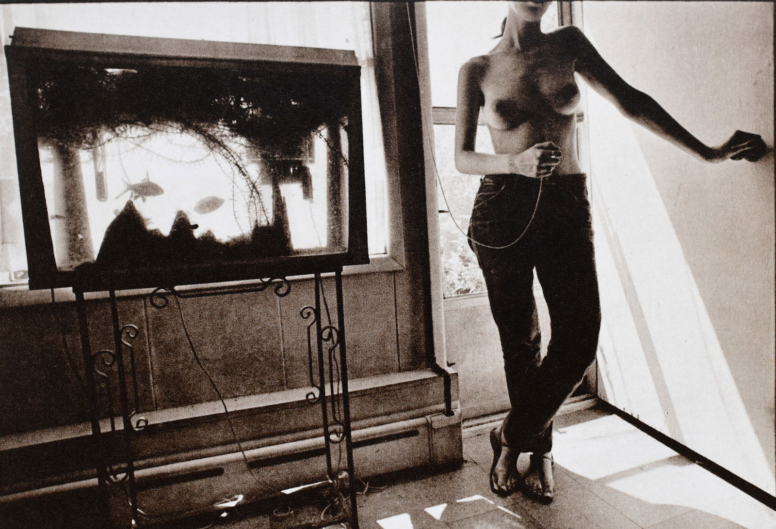 Leslie Krims: Ohne Titel (1969) (1 of 1)