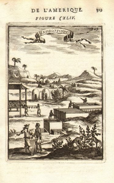 WEST INDIES. Indigofera planter & slaves. Indigo dye. 'Indigotoire'. MALLET 1683: TITLE OF THE PRINT: 'Indigotoire' (De L'Amerique) DATE PRINTED: 1683 IMAGE SIZE: Approx Overall page size 13 x 21cm approximately (5 x 8 inches); image size 10.5 x 14.5cm approximately (4 x 5.5 inches