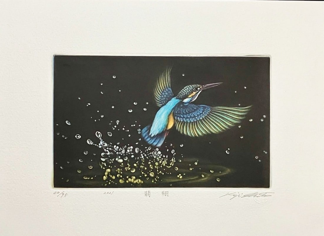 Koji Ikuta (B - 1953): Flying (1 of 1)