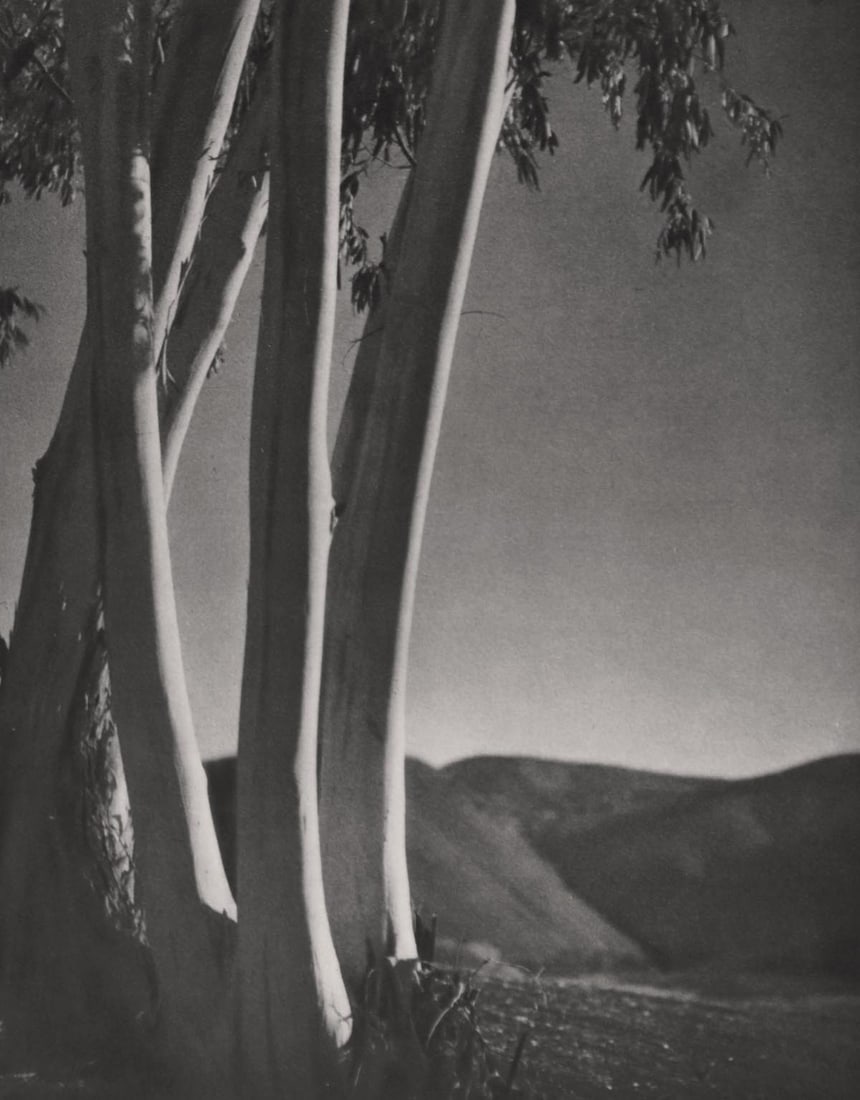 GEORGE H. PHILLIPS - Sentinels (1 of 1)