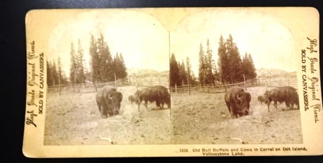 Two Stereoviews Yellowstone and McKinley (1 of 3)