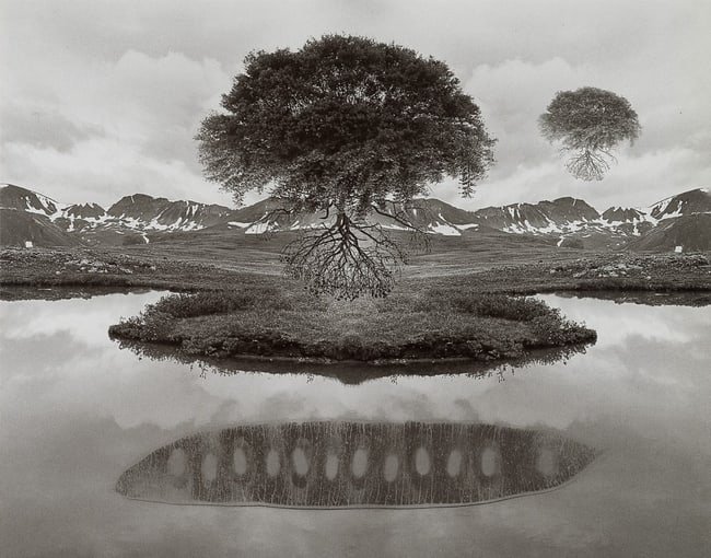 JERRY UELSMANN - Untitled, 1969 (1 of 1)
