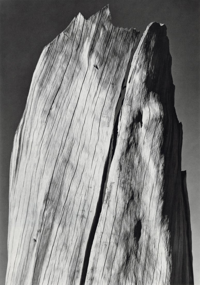 ANSEL ADAMS - The White Stump, Sierra Nevada, 1936 (1 of 1)
