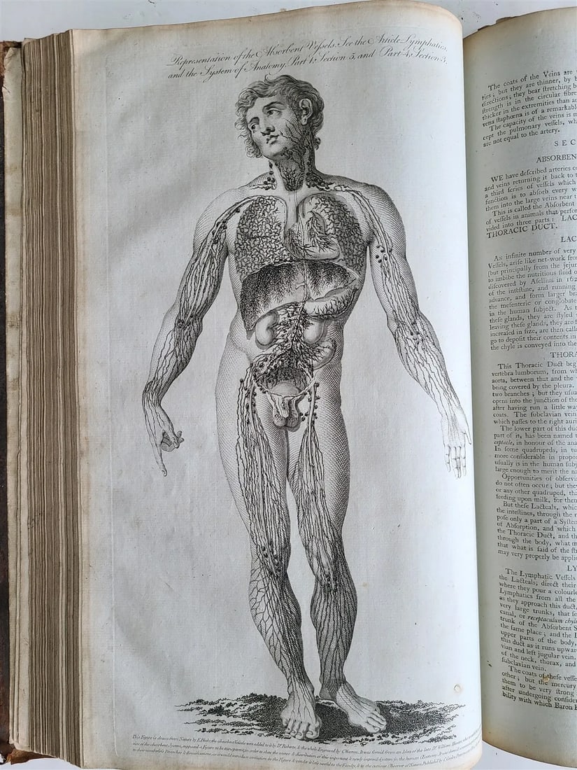 1788 ROYAL ENCYCLOPAEDIA illustrated FOLIO antique ANATOMY SCIENCE ASTRONOMY (1 of 20)