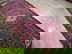 item-171815154=10