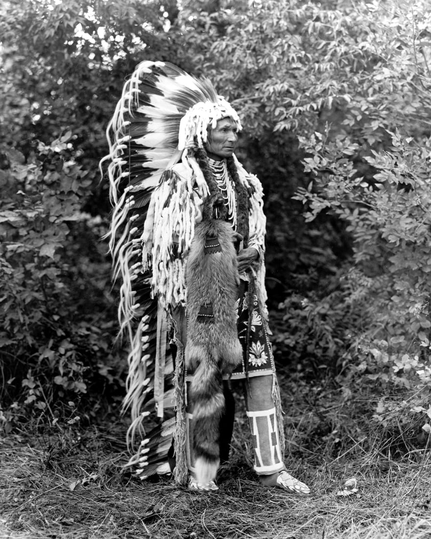 1913, CHIEF UMAPINE IN FOREST; CAYUSE TRIBE: TITLE: 1913, CHIEF UMAPINE IN FOREST; CAYUSE TRIBE ARTIST/SOURCE: Dixon, Joseph Kossuth MEDIUM: CONTEMPORARY PHOTOLITHOGRAPH DATE/PERIOD: 1913 DIMENSION [INCHES]: 10X8 ORIGIN: UNKNOWN ADDITIONAL INFOR