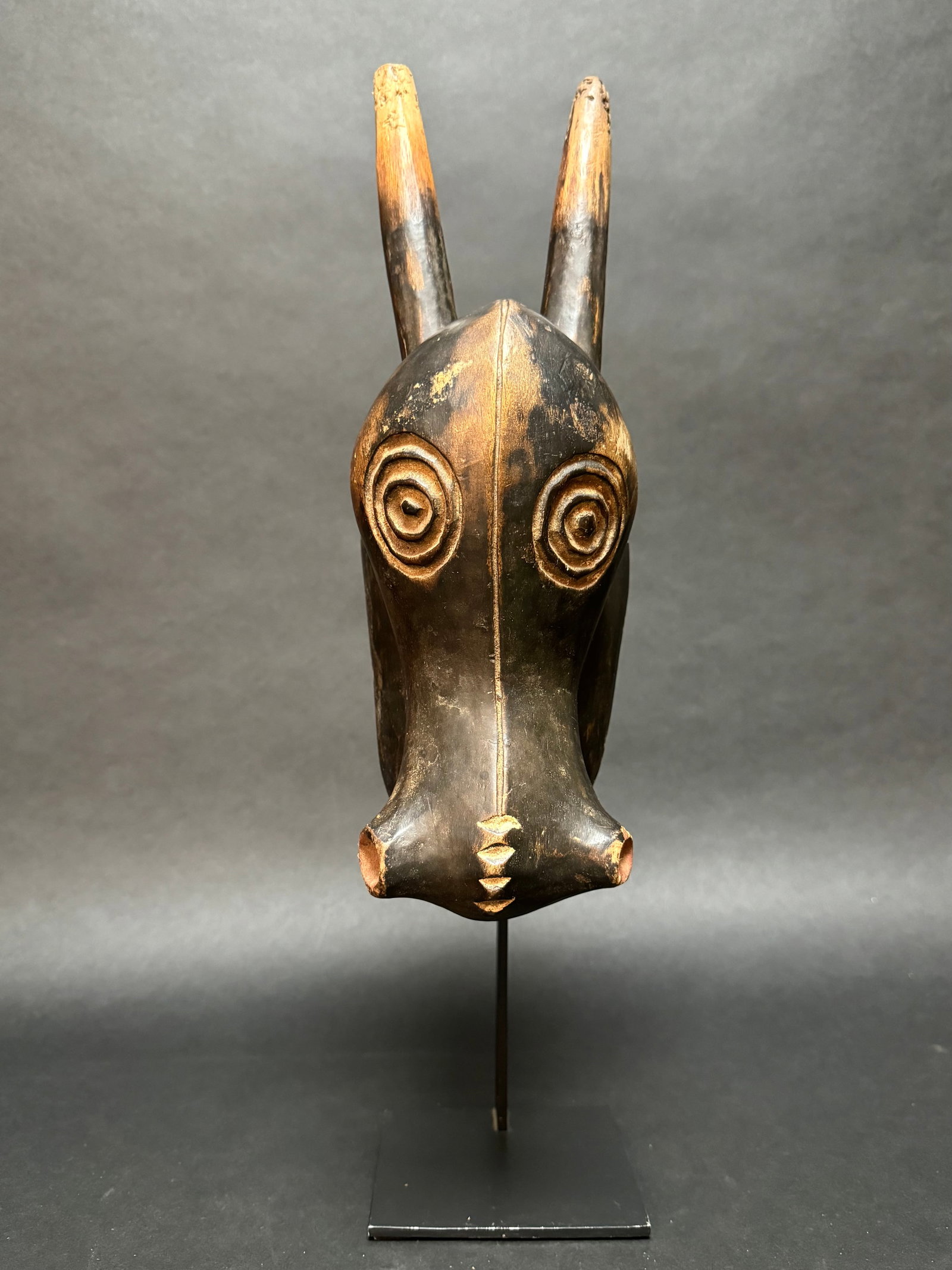 Mask - Wood - Guro - Baule - Ivory Coast: This mask is in the shape of a bull, these animals populate the savannah where the Guro people live and are worshiped by the Guru and will be the first to appear in a tribal dance procession. The Guro