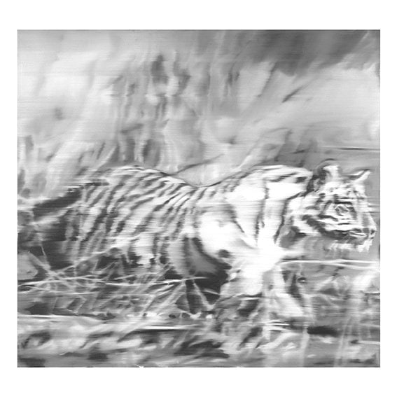 Gerhard Richter: Tiger 1965/2023 (1 of 3)