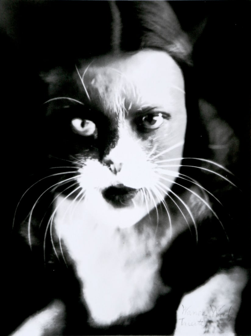 Wanda Wulz: I + cat, 1932 (1 of 1)