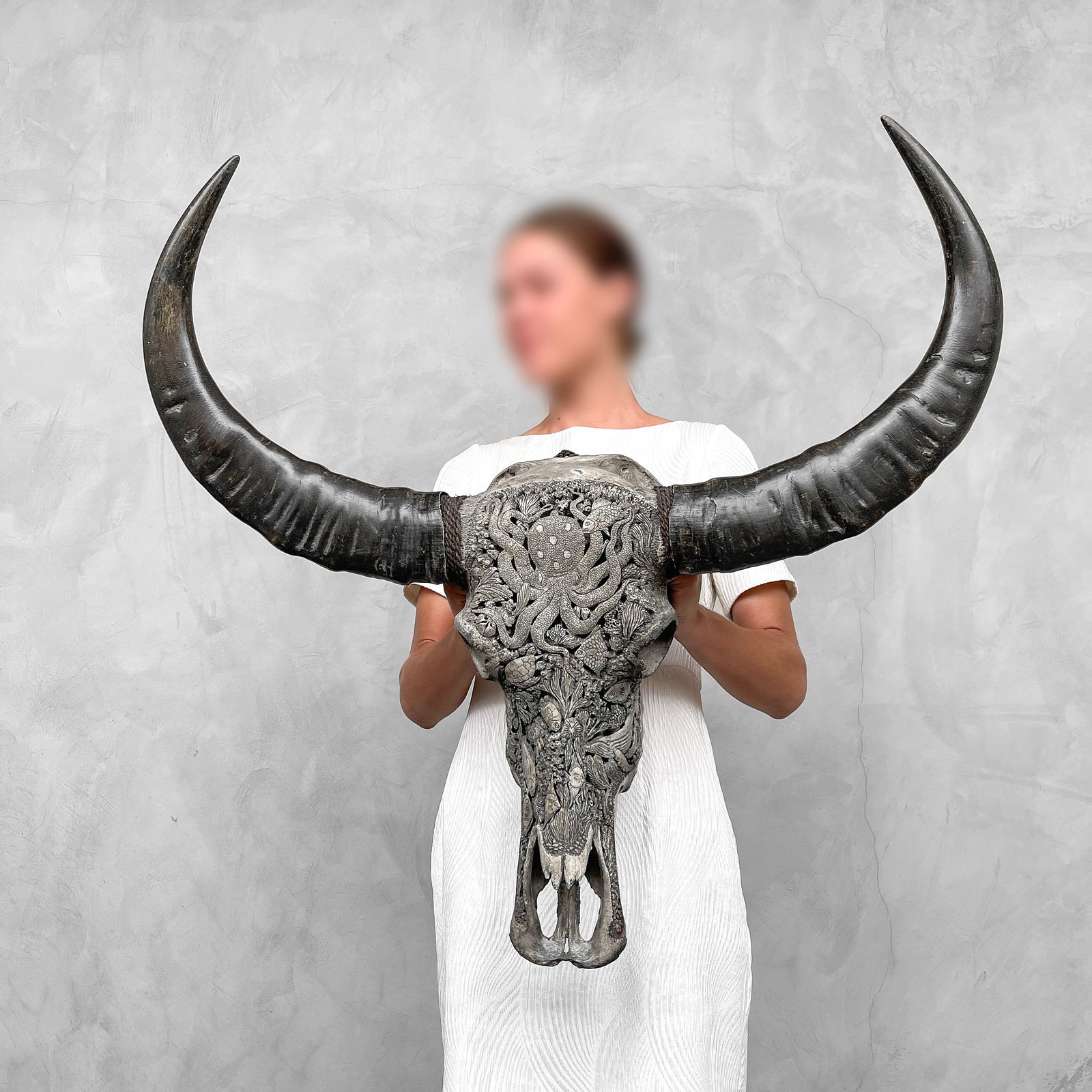 Grey water buffalo skull - Marine life (1 of 10)