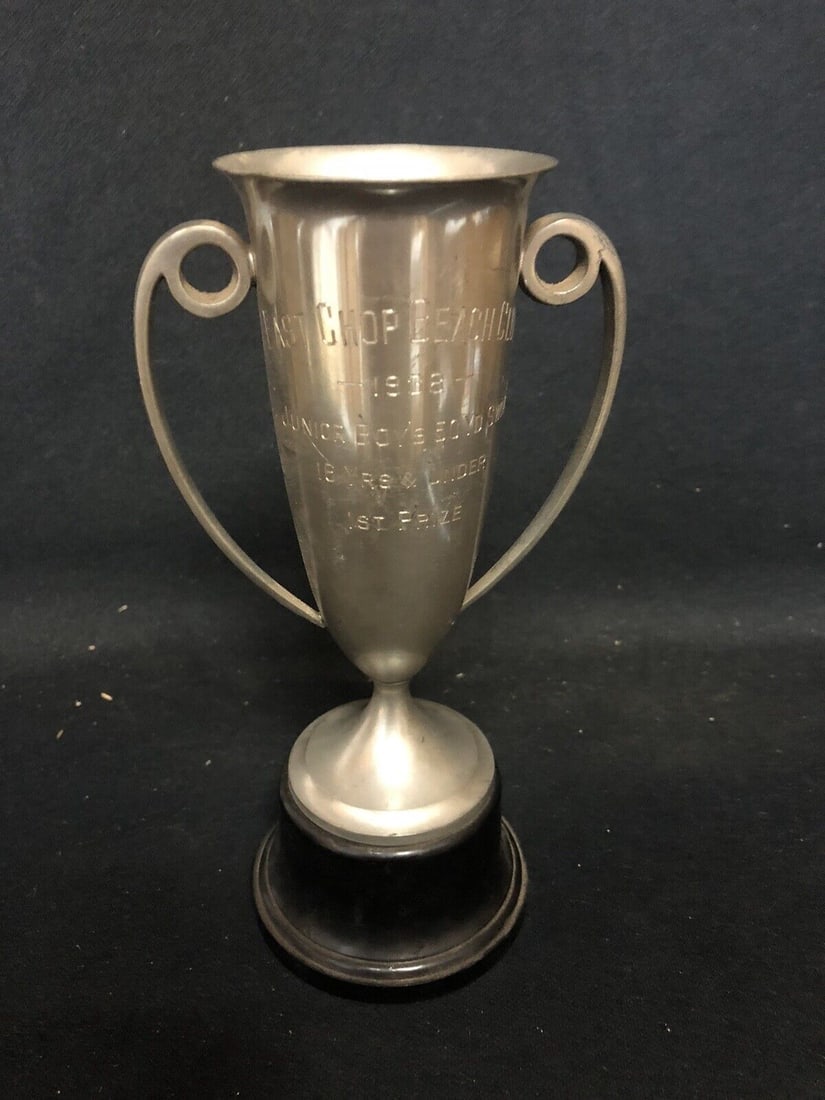1938 8” east chop beach club swimming loving cup trophy Martha’s Vineyard Ma (1 of 2)