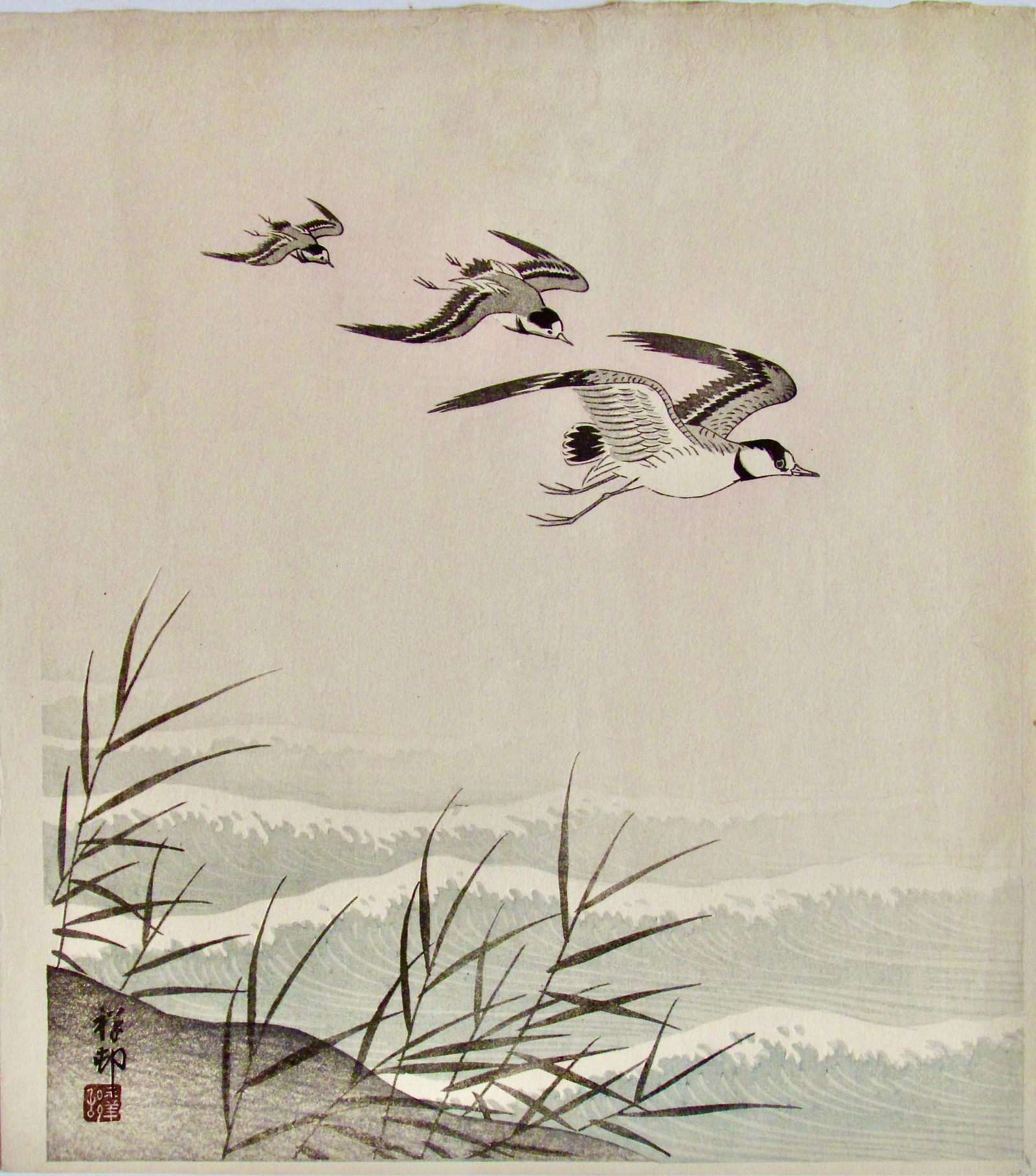 Shoson: Birds above Ocean Waves: Artist: Ohara KOSON (1877-1945) Subject: Birds above Ocean Waves Publisher: Watanabe Signature: Shoson Date: c. 1930 Format: shikishiban, 25.5 x 28.8 cm Condition: Fine impression, color and condition