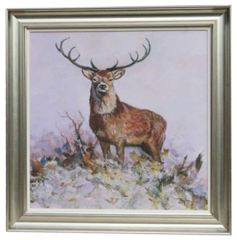 Fine British Oil Painting - Highland Stag in Landscape, 10 point antlers: A 10 point stag' By John Taylor (Modern British) - Majestic Study oil on board, framed signed lower right size: 31 x 31 inches condition: very good and ready to be enjoyed provenance: private collecti
