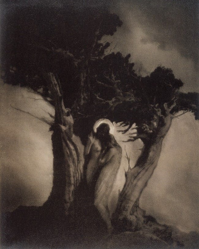 ANNE BRIGMAN - The Heart of the Storm, 1910 (1 of 1)
