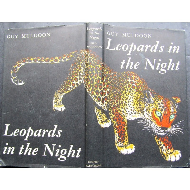 Leopards in the Night (1 of 1)