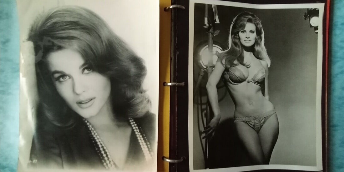 Pin-Ups 1960s - 1990s (1 of 20)