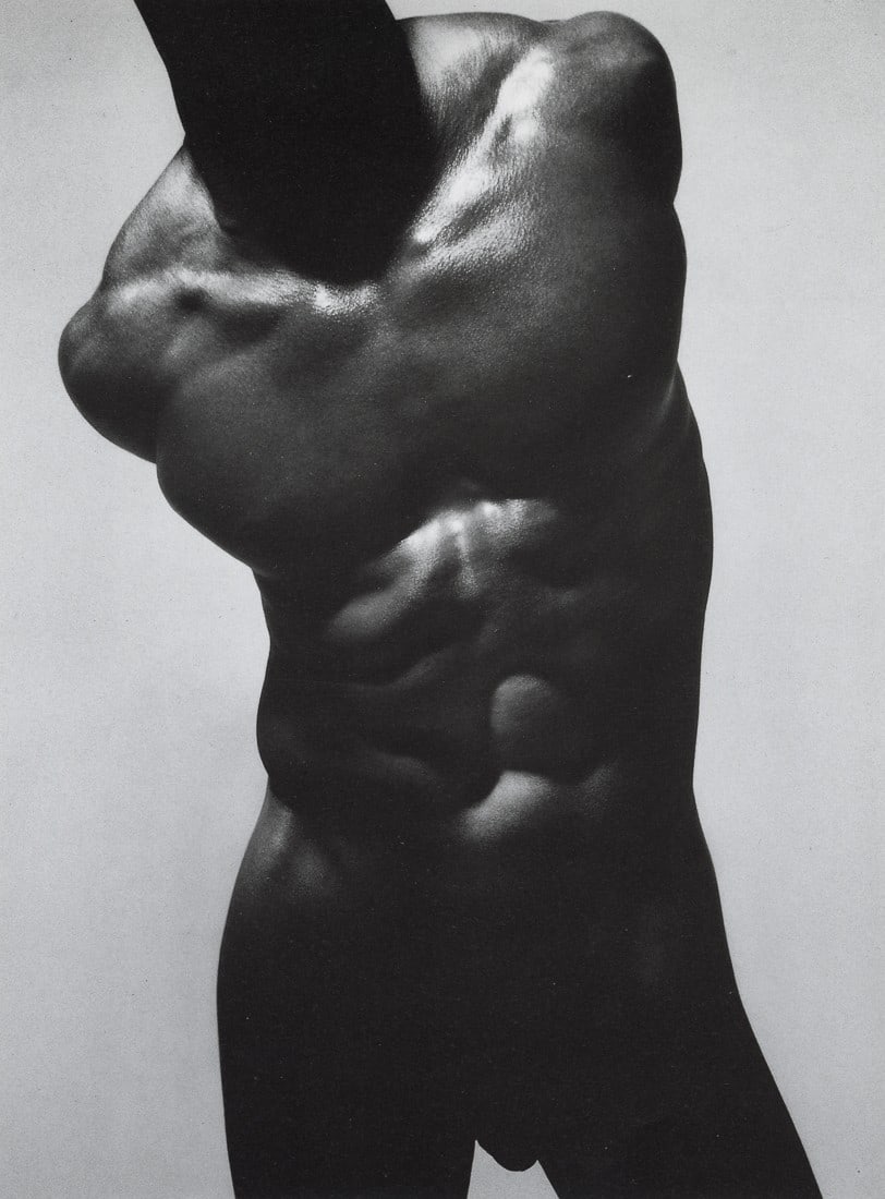 VICTOR SKREBNESKI - Torso, Chicago Studio, 1976 (1 of 1)