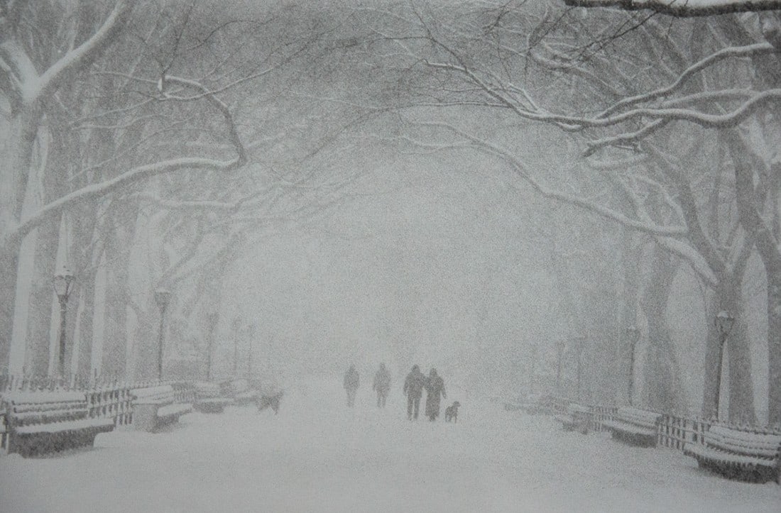 BRUCE DAVIDSON - Central Park in the Snow: Artist: Bruce Davidson Title: Central Park in the Snow Medium: Photo Litho, 1995, Hong Kong Dimensions: 10.75x7.2" Description: Heat Wax Mounted on 12x16" Conservation Board Artist Bio: Bruce Davidson