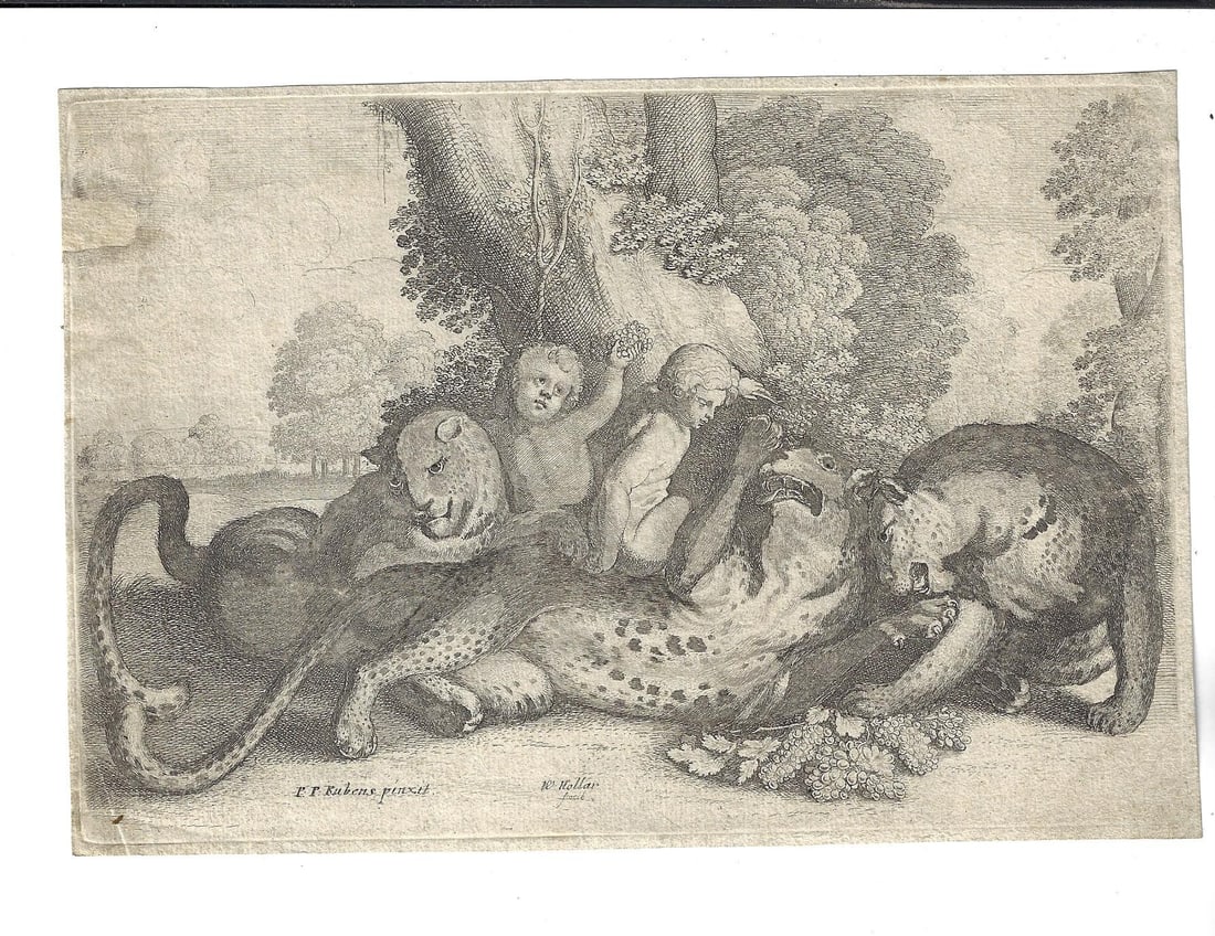 1646 Hollar Engraving after Rubens (1 of 1)