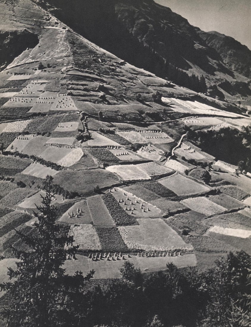 BRASSAI - Pres alpestres, c. 1930s: Artist: BRASSAI Print Title: Pres alpestres Medium: Sheet-fed Gravure Printing Date: 1930's Printed in France Image size approx. 11.5 x 9 inches Brassai, pseudonym of Gyula Halász, (1899-1984) wa