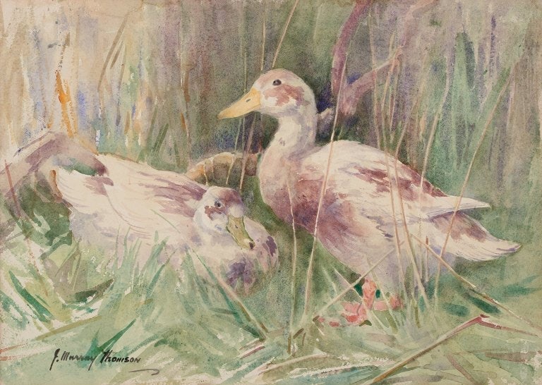 John Murray Thompson (1885-1974), British artist. Watercolor on paper. Ducks in a landscape.: John Murray Thompson (1885-1974), British artist. Watercolor on paper. Ducks in a landscape. Mid-20th century. In perfect condition. Signed. Dimensions: 53.0 cm x 37.5 cm. Total dimensions: 72.5 cm x