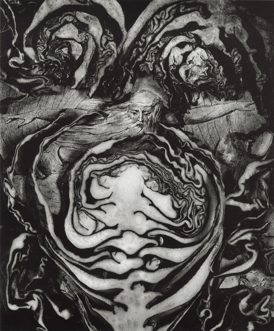 JACK STULER - Cabbage with William Blake, 1987: Artist: Jack Stuler Title: Cabbage with William Blake, 1987 Medium: Photo Litho, 1990, Germany Dimensions: 7.15x8.65" Description: Heat Wax Mounted on 11x14" Conservation Board Artist Bio: Jack Stuler