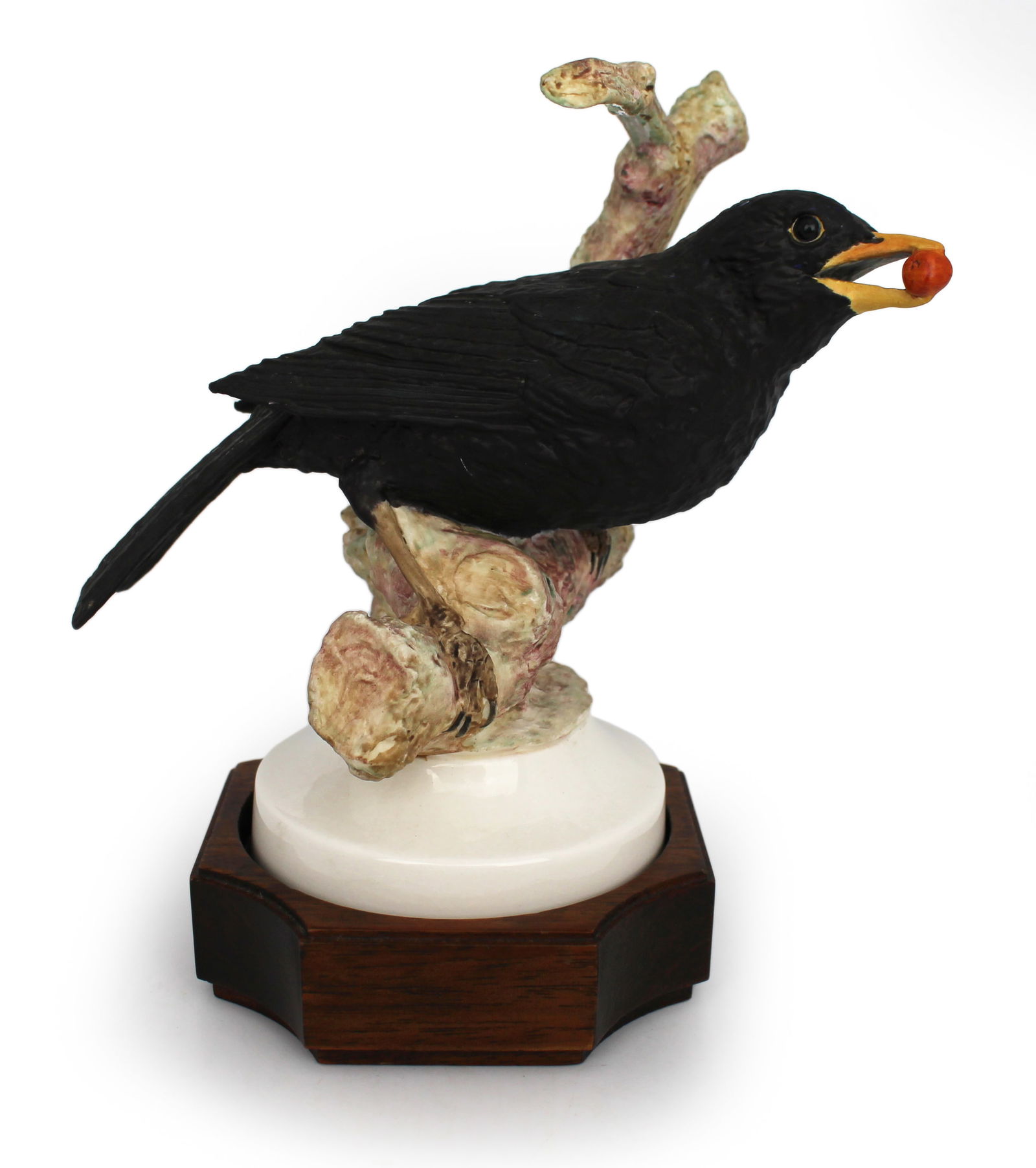 Albany Blackbird by David Burnham Smith: Albany Blackbird. Modelled by David Burnham Smith Limited edition. Measures 12 x 9 x 15 (height) cm. Very good condition; no chips, cracks or repairs. Set in mahogany base. Complete with certificate o