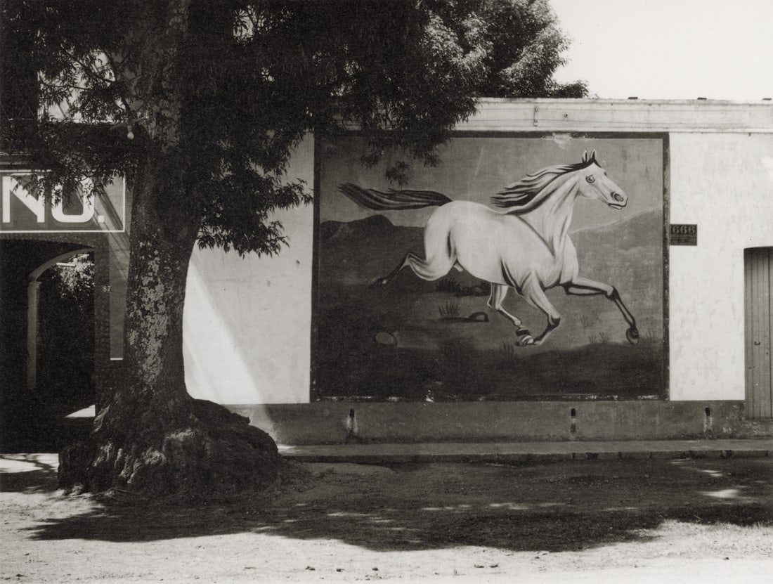 MANUEL ALVAREZ BRAVO - Landscape and Gallop, 1932 (1 of 1)
