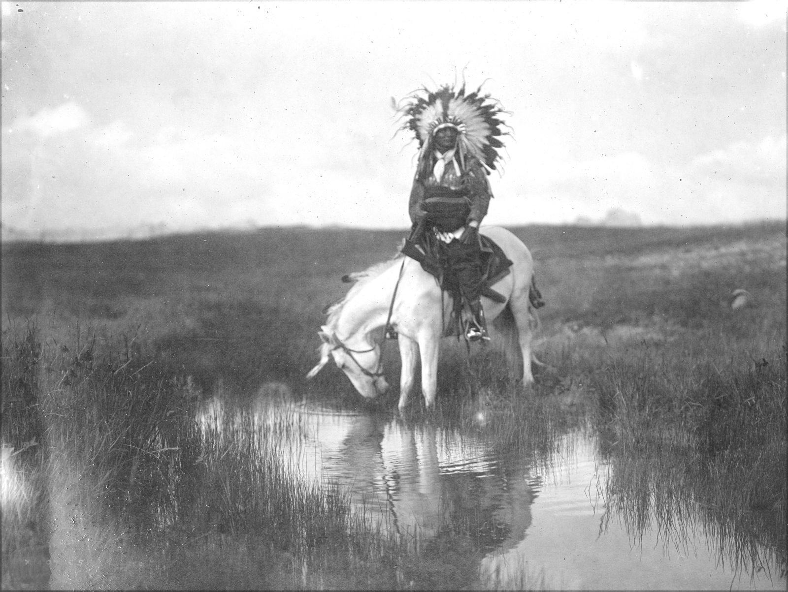 11X8.5" BARYTA PRINT,CHEYENNE WEARING WAR BONNET IN VALLEY ROSEBUD: Title: 11X8.5" BARYTA PRINT,CHEYENNE WEARING WAR BONNET IN VALLEY ROSEBUD Artist/Source: EDWARD SHERIFF CURTIS, (AMERICAN, 1868-1952) Dimensions: 11X8.5 / 8.5X11 ACCORDINGLY Date/Period: C. 1908 Descr