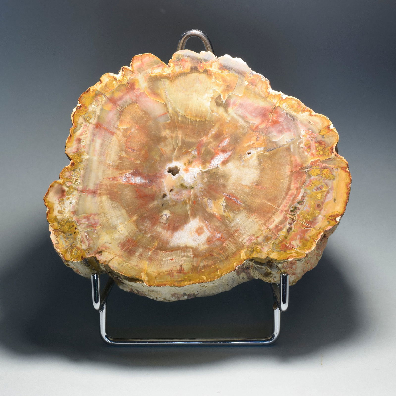 Beautiful fossil wood: Title: Beautiful fossil wood Origin: Madagascar Size: c. 13.5 x 11 x 7 cm Description: Silicified fossil wood Age: Permian Locality: Madagascar Measurements: c. 13.5 x 11 x 7 cm Weight: 1.9 kg Beautif