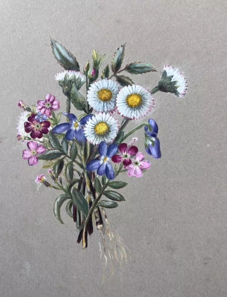 Antique Original Drawing Floral Bouquet, Daisies Flowers: Antique Original Drawing Floral Bouquet, Daisies Flowers Details Payment Shipping Terms of Sale Description Watercolor on paper 24 x 16 cm stains ref: 42 Reserve: $30.00 Shipping:<