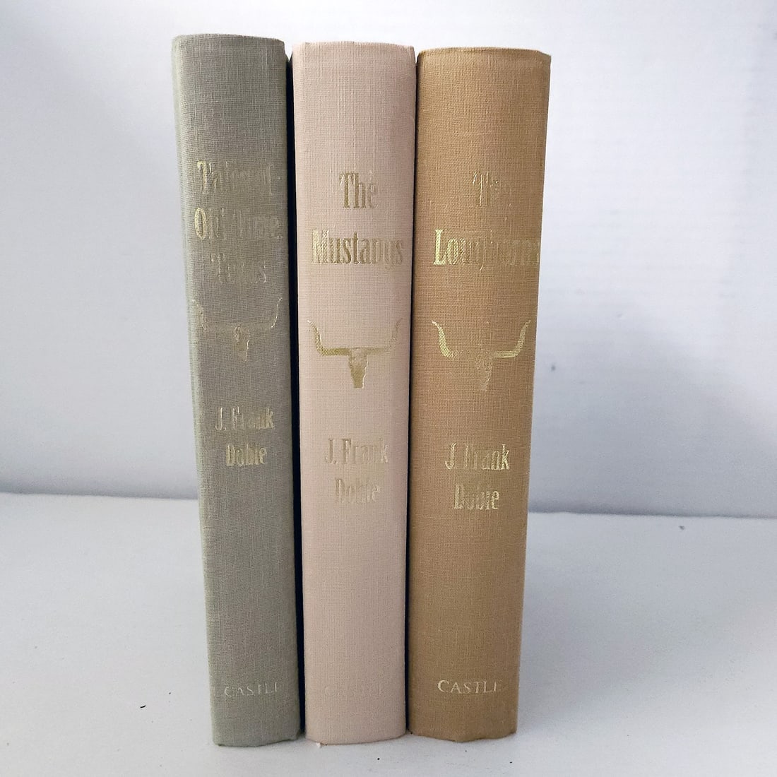 Set of 3 J Frank Dobie Castle Books from 1999 (1 of 11)