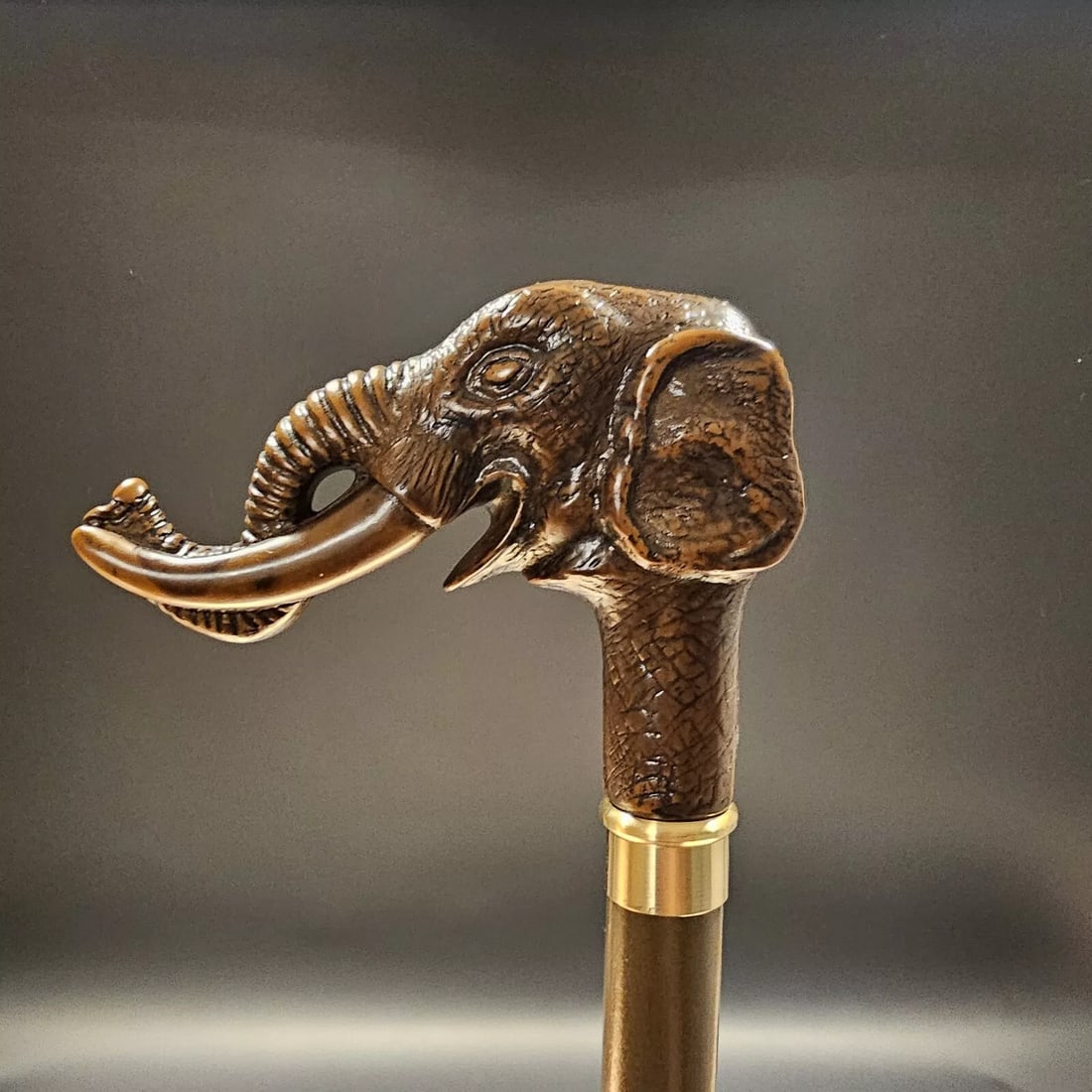 Elephant Walking Stick Cane (1 of 17)