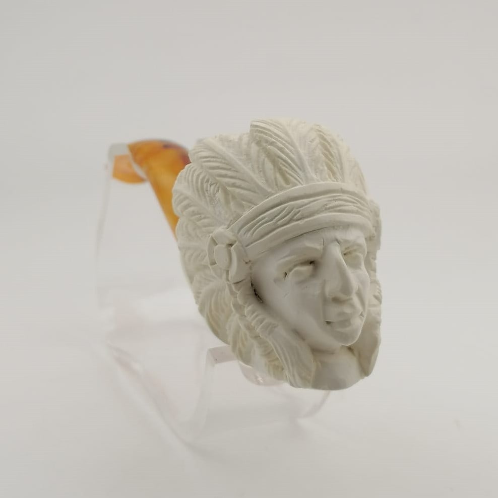 American indian warrior Chief (1 of 1)