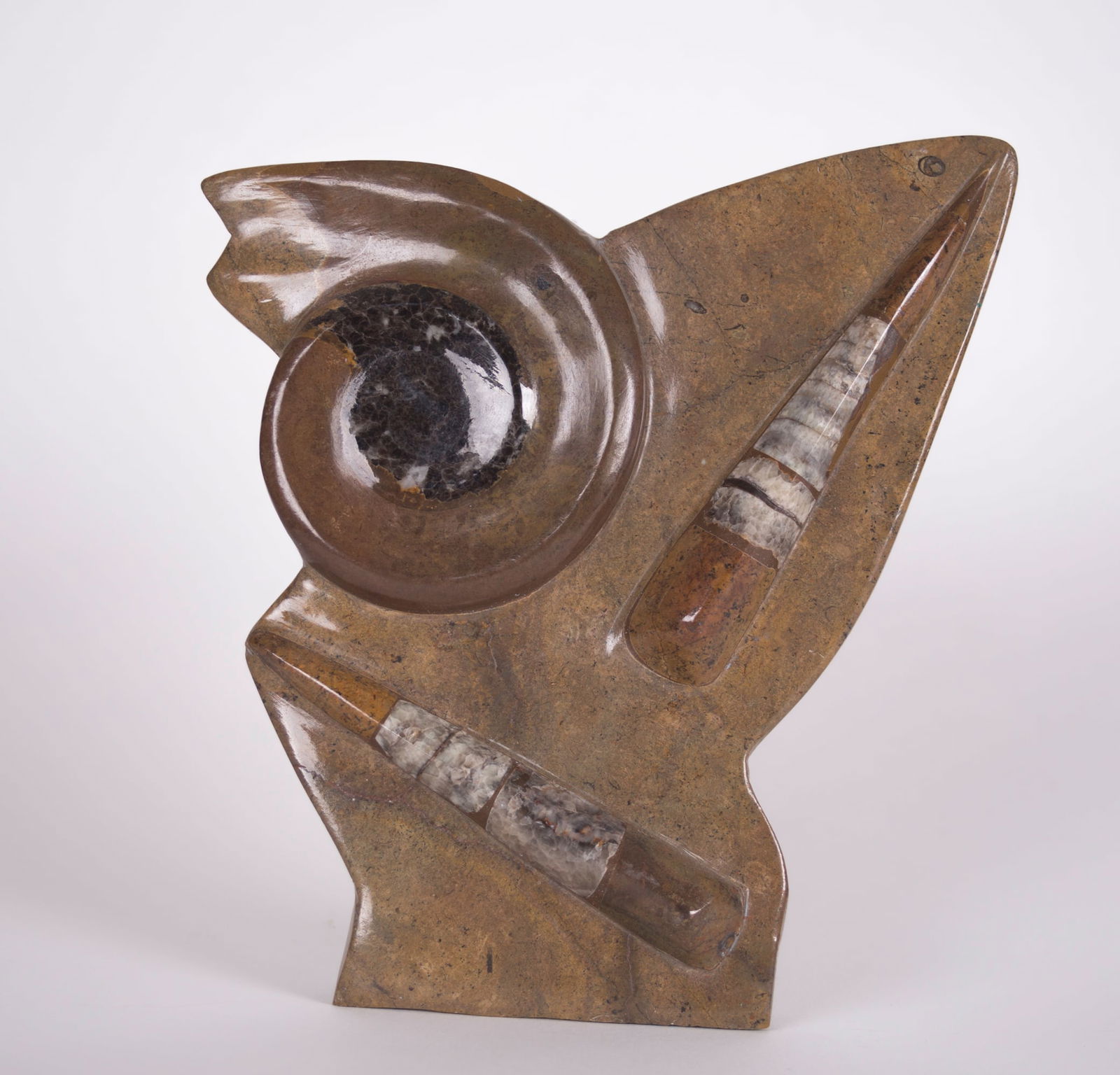 Ammonite Fossil Orthoceras carved and varnished manner of Deyrolles (1 of 3)