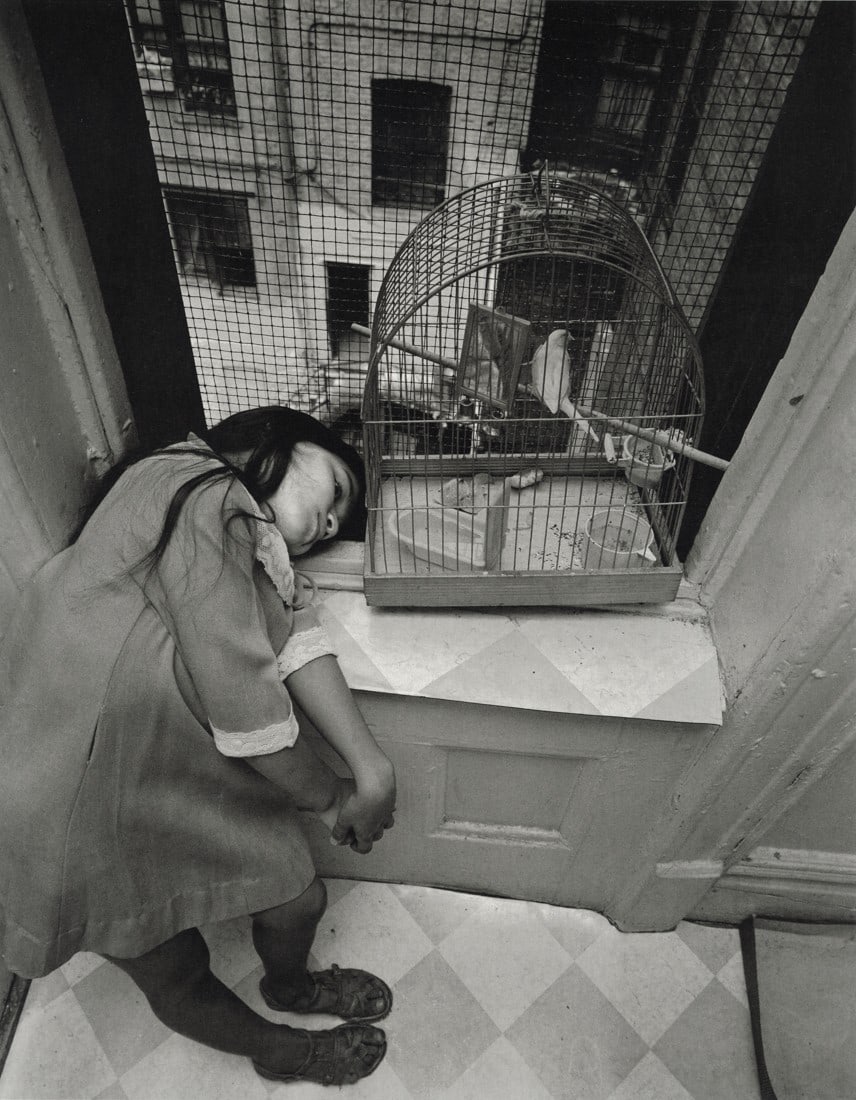 BRUCE DAVIDSON - East 100th Street, Harlem, 1966-68: Artist: Bruce Davidson Title: East 100th Street, Harlem, New York, 1966-68 (Girl With Birdcage) Medium: Photo Litho, 2016, Spain Dimensions: 7.65x9.85" Description: Heat Wax Mounted on 11x14" Conserva