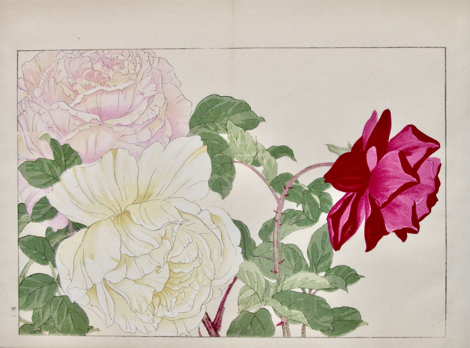 Tanigami Konan: Roses (1 of 2)