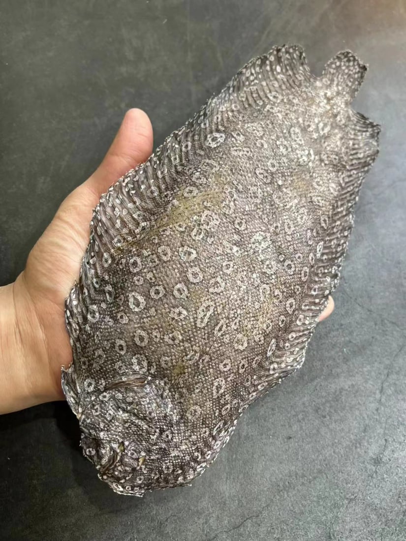 Real Fish Taxidermy Pardachirus pavoninus: Title: Real Fish Taxidermy Pardachirus pavoninus Description: Our taxidermies are preserved by experienced taxidermists, all meat and organs are 99% cleared with only fish skin and fish scales remaini